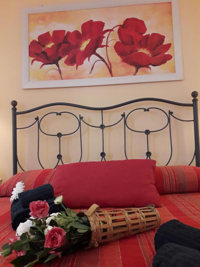 La Chicca Apartment Пиза Екстериор снимка